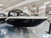 Phoenix 510 BR с мотором MARLIN MFI 100 AERTL