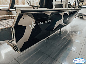 Realcraft 500